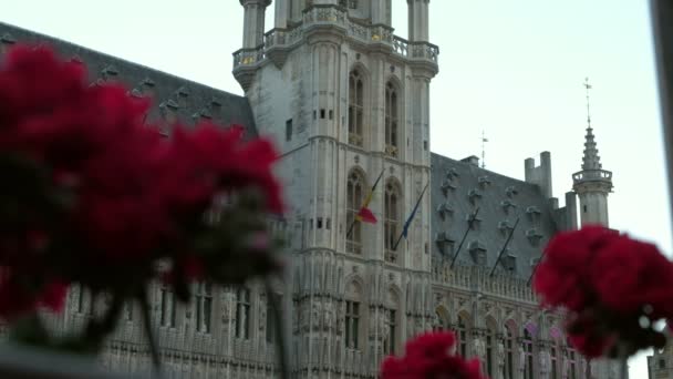 Grand Place Brüksel Belediye Binası Nın Cephesistatik Çekim Şafakta Alınan — Stok video