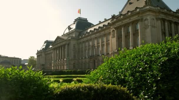 布鲁塞尔皇宫的静态宽镜头 被灌木丛框住 在春天的早晨早早地被带走 — 图库视频影像
