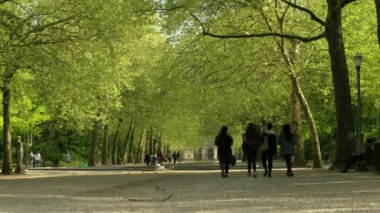 Brüksel/Belçika - 24 Nisan 2019: Parc de Brüksel'de ağaçlarla çevrili caddede yürüyen dört kızın statik telefoto fotoğrafı