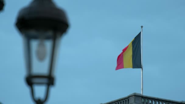 Telefoto Tiro Largo Gran Bandera Belga Que Ondea Desde Palacio — Vídeos de Stock