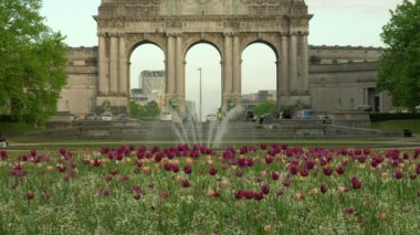 Brüksel'de çiçek açan çiçekler ve Triumphal Arch yakın çekim 