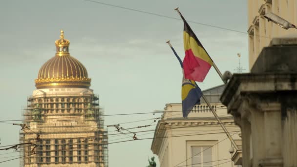 Belga Zászló Repül Brüsszel Palotája Háttérben Felújítás Alatt — Stock videók