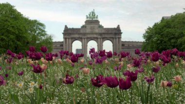 Brüksel'deki Jubilee Park'ta güzel çiçekler açıyor. Arka planda Triumphal Arch