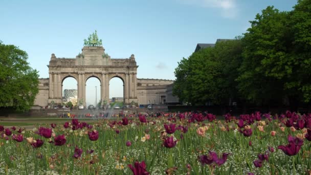 Flores Fuente Frente Arco Del Triunfo Parque Del Cincuentenario Bruselas — Vídeos de Stock