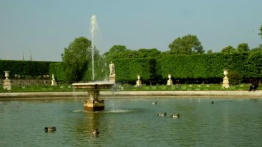 Tuileries Bahçesi 'nde Fountain, Pond ve Ducks, Paris. Güneşli bahar gününde Taken