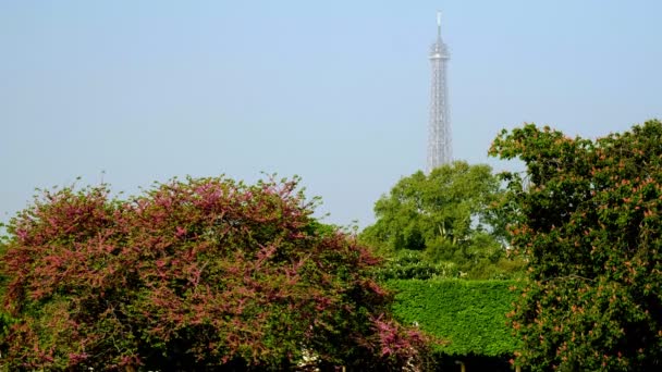 巴黎杜伊勒里花园盛开的树木近距离拍摄 埃菲尔铁塔在背后 — 图库视频影像