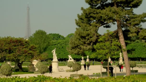 フランス 2019年4月30日 春のパリのチュイルリー庭園の静的ワイドショット エッフェル塔は背景にあります — ストック動画
