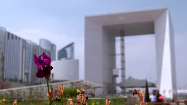 Statisk Bild Blommande Blomma Defense Affärsdistrikt Paris Med Skyskrapor Defocused — Stockvideo