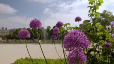 Paris/Fransa - 3 Mayıs 2019: İlkbaharda Paris'teki Tuileries Garden'daki su havuzunun yakınındaki insanlara çiçek açan çiçeklerden yukarı yat