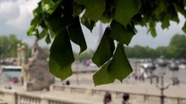 Paris/Fransa - 3 Mayıs 2019: Paris'teki Place de la Concorde üzerindeki Eyfel Kulesi'ne bakan turistlere arkadan kamera iniyor