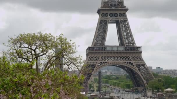 Kippschuss Vom Blühenden Baum Auf Den Eiffelturm Einem Trüben Frühlingstag — Stockvideo