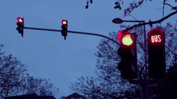 Statiskt Klipp Trafikljus Som Ändrar Signal Från Rött Till Grönt — Stockvideo