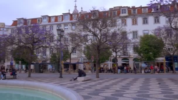 里斯本 葡萄牙 2019年5月10日 在里斯本的Rossio广场 从建筑物到喷泉雕像的潘 在春天与盛开的树木拍摄 — 图库视频影像