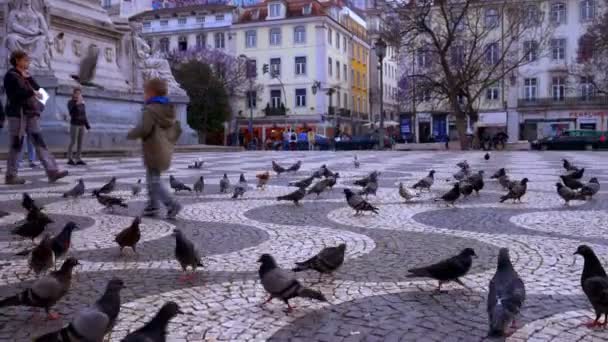 Lisboa Portugal Mayo 2019 Niño Corriendo Entre Rebaño Palomas Plaza — Vídeos de Stock