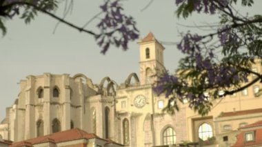 Lsobon 'daki Carmo Manastırı' ndan bir jakaranda ağacının çiçeğine odaklan.