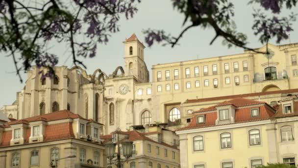 Long Clip Carmo Convent Lisbon Framed Blossom Jacaranda Rossio Square — Stock Video