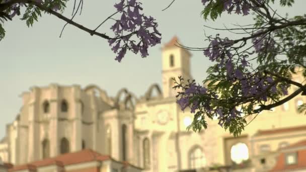 Clip Desenfoque Del Convento Carmo Lisboa Enmarcado Por Flor Jacaranda — Vídeos de Stock