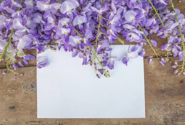 Mor wisteria ve kağıt tebrik kartı 