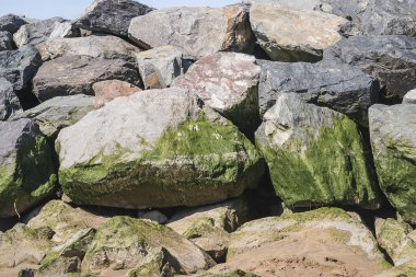 Deniz taş zemin üzerine güneş ışığı