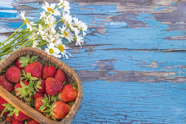 Summer gardening background. — Stock Photo, Image