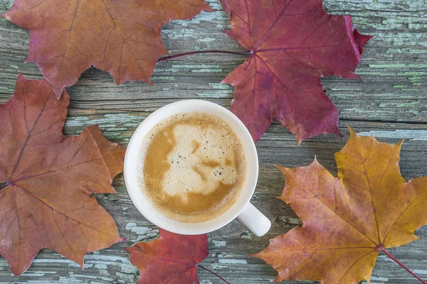 Autumn coffee break concept.