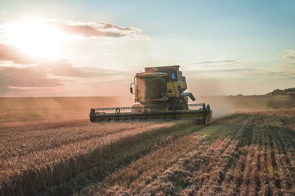 Prachtig landelijk landschap met werkende agrarische combinatie oogst — Stockfoto