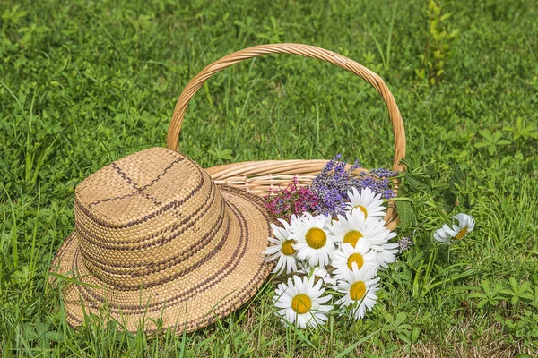 Jardin d'été ou concept de vacances — Photo