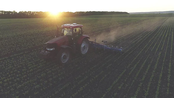 Сельскохозяйственный трактор на весеннем поле на закате — стоковое фото