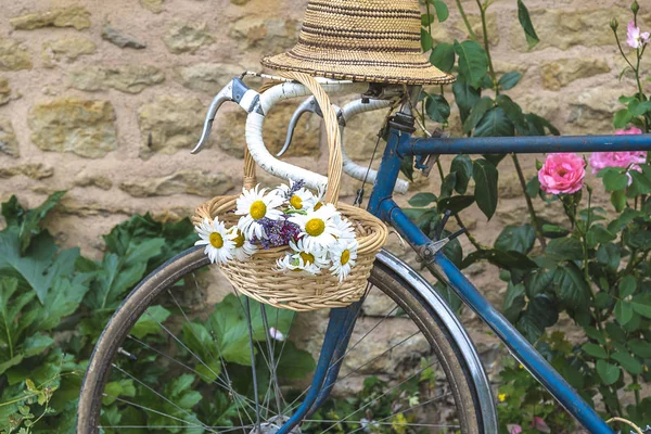 Sommergartenkonzept. Weidenkorb mit einem Bund weißer Gänseblümchen — Stockfoto