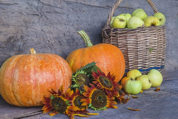 Summer or autumn gardening concept. Two orange pumkins, sunflowers — Stock Photo, Image