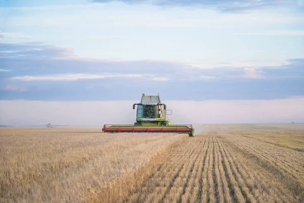 Cosechadora Grande Que Trabaja Campo Agrícola —  Fotos de Stock