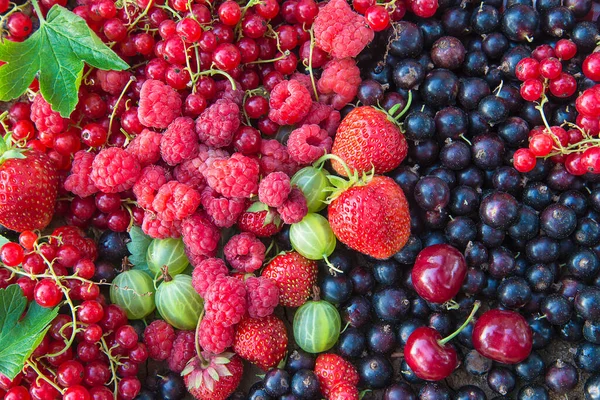 Schöne Verschiedene Beeren Hintergrund Erdbeeren Himbeeren — Stockfoto