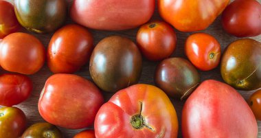 Çeşitli olgun kırmızı ve siyah domateslerin arka planı