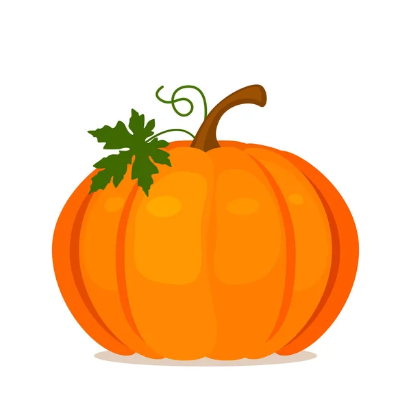 Calabaza Naranja Con Tallo Hoja Verde Ilustración Vectorial Plana Aislada — Archivo Imágenes Vectoriales