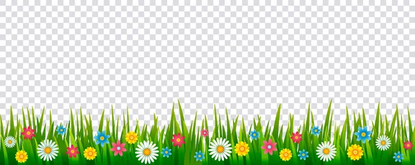 Φωτεινό ρεαλιστική μοτίβο πράσινο γρασίδι και ανοιξιάτικα λουλούδια για διακόσμηση Πασχαλινές κάρτες, πανό. εικονίδιο του φορέα που απομονώνονται — Διανυσματικό Αρχείο