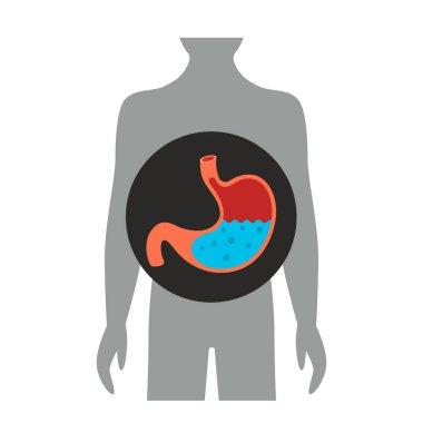 Tok karnına su ve kabarcıklar. Beyaz arka plan üzerinde izole düz vektör çizim