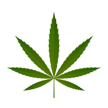 Esrar yaprak siluet simge beyaz arka plan üzerinde izole. Vektör çizim