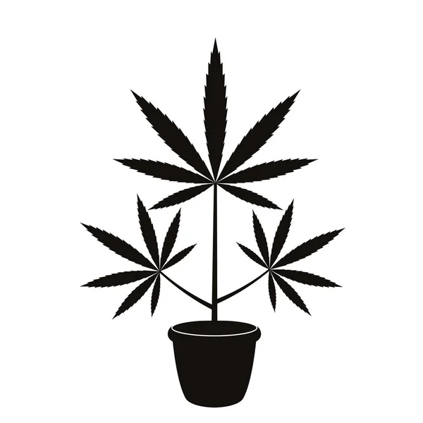 Plante de cannabis avec des feuilles dans un pot de fleurs. Le concept de drogues légales à des fins médicales. illustration vectorielle plate isolée — Image vectorielle