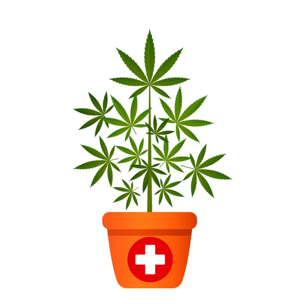 Растение конопли с листьями в цветочном горшке. Понятие легальных лекарств для медицинских целей. изолированная плоская векторная иллюстрация — стоковый вектор