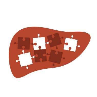 Puzzle parçaları ile stilize insan karaciğer. izole düz vektör çizim simgesi