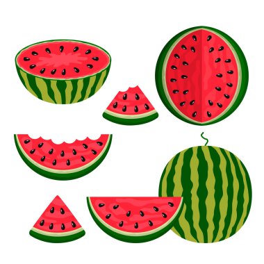 A large set of different watermelons whole, half, piece, bite piece. logo on a white background. flat isolated vector illustration clipart