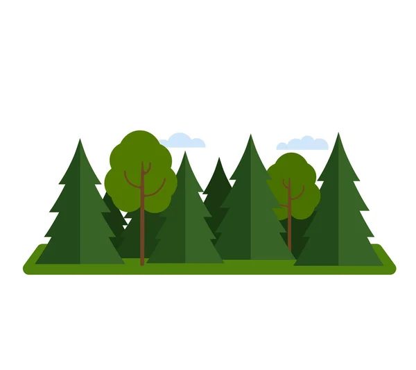 Coniferous forest mixed with deciduous forest. flat vector illustration isolated — Stock Vector