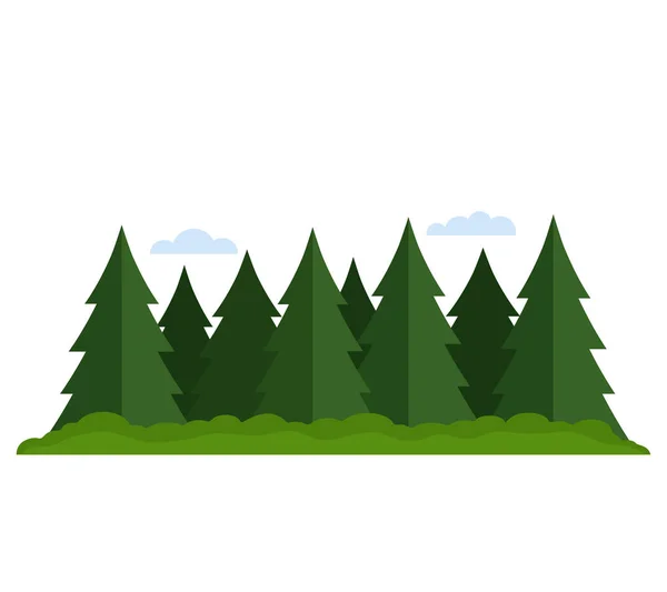 Jehličnaté lesy smíšené s listnatý les. plochý vektor ilustrace izolovaný — Stockový vektor