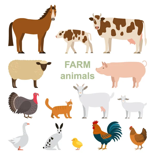 A large set of animals and birds with a farm in a cartoon style. Flat vector illustration isolated — Stock Vector