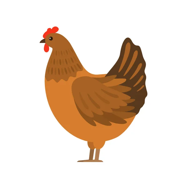 The hen hatch eggs in the nest. Flat vector illustration — Stock Vector