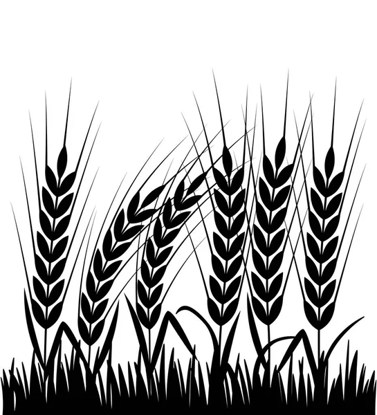 Black field silhouette with ears of wheat and grass. flat vector illustration — Stock Vector