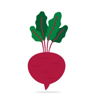 Beyaz Arka Plan üzerinde El Çizilmiş Pancar. Vektör İllüstrasyonu