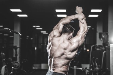 Acımasız beyaz güçlü kas yakışıklı genç model görünüm egzersiz eğitim sırt kasları Latı spor salonu fitness vücut geliştirme ve spor beslenme kadar pompalama