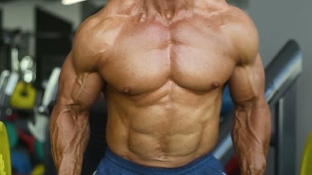 Βάναυση Bodybuilder Ισχυρή Άντληση Τους Μυς Προπόνηση Bodybuilding Έννοια Φόντο — Αρχείο Βίντεο