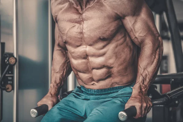Acımasız güçlü vücut geliştirmeci atletik kasları egzersiz vücut geliştirme kavramı arka plan - kas vücut geliştirmeci yakışıklı erkekler spor salonu çıplak gövde kavramı spor ve diyet egzersiz yapıyor pompalama adam yaşlı